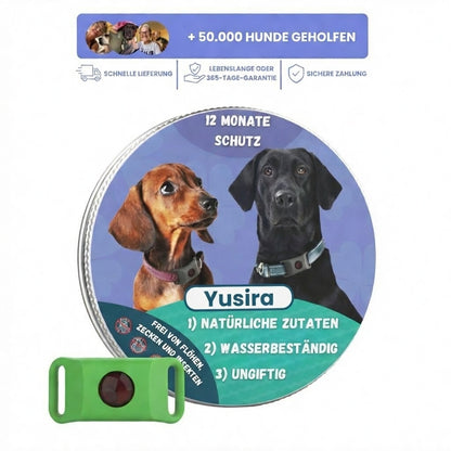 Natürlicher Anti-Parasiten-Anhänger für Hunde