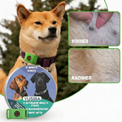 Natürlicher Anti-Parasiten-Anhänger für Hunde